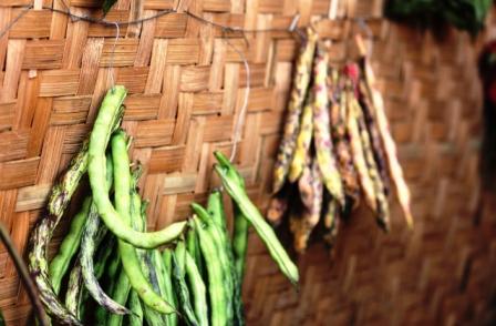  Stringed beans at a stall in the Indigenous Terra Madre Festival or the Mei Ramew Festival at Mawphlang in Shillong.